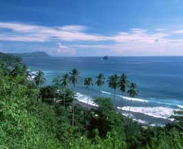 Beach near Tangkoko